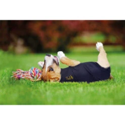 Medical Pet Shirt Hund 17 Medical Pet Shirt Hund -Heimtierbedarf Verkäufe medical pet shirt hond 149981 0500 none