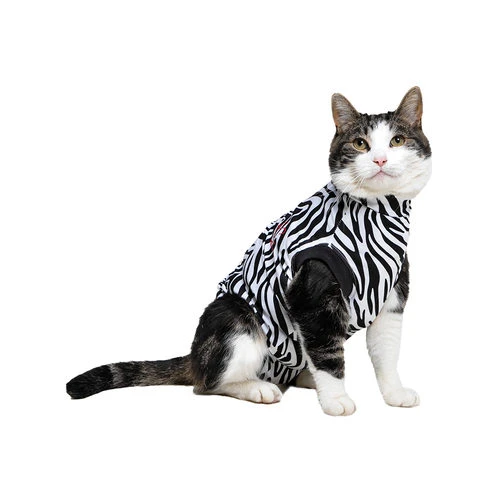 Medical Pet Shirt Katze Zebra-Muster 3 Medical Pet Shirt Katze Zebra-Muster