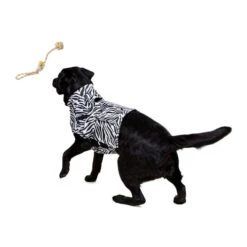 Medical Pet Top Shirt Zebra -Heimtierbedarf Verkäufe medical pet top shirt zebraprint 150701 0500 none