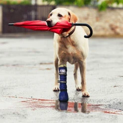 Medical Pet Shirt Boot -Heimtierbedarf Verkäufe medical pets boot 167512 0500 none