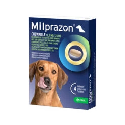 Milprazon Chewable Hund -Heimtierbedarf Verkäufe milprazon chewable hond 206285 0500 none