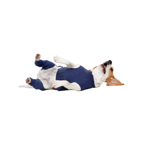 MPS-HLS Hinterbeinschutz 5 MPS-HLS Hinterbeinschutz – Bild 3