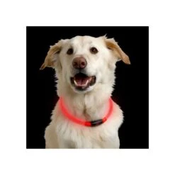 Nite Ize NiteHowl LED Safety Necklace -Heimtierbedarf Verkäufe nite ize nitehowl led safety necklace 89526 0500 none
