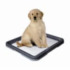 Nobby Doggy Trainer & Pads -Heimtierbedarf Verkäufe nobby doggy trainer 130274 0500 none