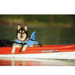 Nobby Hundeschwimmweste Sharki -Heimtierbedarf Verkäufe nobby sharki hondenzwemvest 221666 0500 none