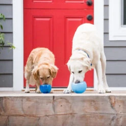 Planet Dog Orbee-Tuff Lil’ Snoop Toy -Heimtierbedarf Verkäufe orbee tuff lil snoop toy 203408 0500 none