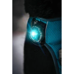 Orbiloc Dog Dual Safety Light -Heimtierbedarf Verkäufe orbiloc led veiligheidslamp 188103 0500 none