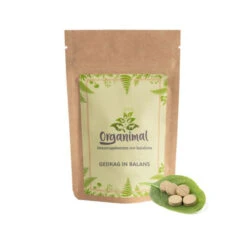 Organimal Verhalten In Balance Für Katzen