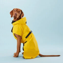 PAIKKA Visibility Raincoat Lite Yellow 10 PAIKKA Visibility Raincoat Lite Yellow -Heimtierbedarf Verkäufe paikka visibility raincoat lite yellow 217726 0500 none