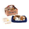 Perfect Petzzz Soft Cavalier King Charles -Heimtierbedarf Verkäufe perfect petzzz soft cavalier king charles 151240 0500 none
