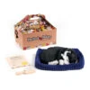 Perfect Petzzz Soft Schwarzweiße Katze 1 Perfect Petzzz Soft Schwarzweiße Katze -Heimtierbedarf Verkäufe perfect petzzz soft zwart met witte kat 150796 0500 none