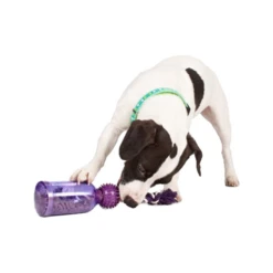 PetSafe Tug-a-Jug -Heimtierbedarf Verkäufe petsafe tug a jug 216335 0500 none