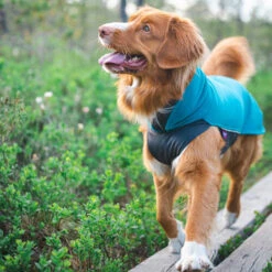 Pomppa Jumppa -Heimtierbedarf Verkäufe pomppa jumppa 190573 0500 none