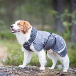 Pomppa Perus Hundejacke -Heimtierbedarf Verkäufe pomppa perus hondenjas 215732 0500 none