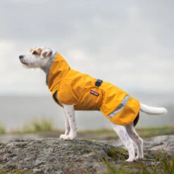 Pomppa Perus Hundejacke -Heimtierbedarf Verkäufe pomppa perus hondenjas 215735 0500 none