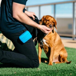 Popware Pooch Pouch Treatbag -Heimtierbedarf Verkäufe popware pooch pouch treatbag 164698 0500 none