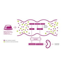 Porus One -Heimtierbedarf Verkäufe porus one 134455 0500 none