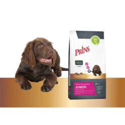 Prins Protection Croque Junior Performance -Heimtierbedarf Verkäufe prins protection croque junior performance 172012 0500 none