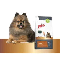 Prins Protection Croque Mini Lamb Hypoallergenic -Heimtierbedarf Verkäufe prins protection croque mini lamb hypoallergenic 172102 0500 none