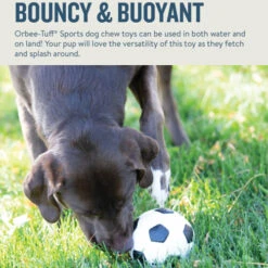 Planet Dog Orbee-Tuff Soccer Ball 13 Planet Dog Orbee-Tuff Soccer Ball -Heimtierbedarf Verkäufe prod 14590 203615 0500 none