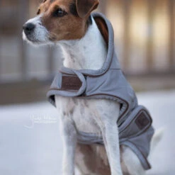 Kentucky Hundemantel Reflective & Waterrepellent -Heimtierbedarf Verkäufe prod 15746 219013 0500 none