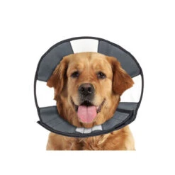 ZenPet Zen Collar -Heimtierbedarf Verkäufe prod 5332 89025 0500 none