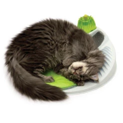 Catit Senses 2.0 Wellness Center -Heimtierbedarf Verkäufe product catit senses 20 wellness center none 4 1479819682 81010