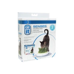 Catit Senses Katzengrassamenset -Heimtierbedarf Verkäufe product catit senses grass garden none 4 1465980441 69891