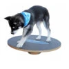 FitPAWS Wobble Board -Heimtierbedarf Verkäufe product fitpaws wobble board none 4 1470905070 76051