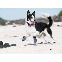 Hurtta Hundeschuhe Outback -Heimtierbedarf Verkäufe product hurtta outback boots none 4 1478786124 80266