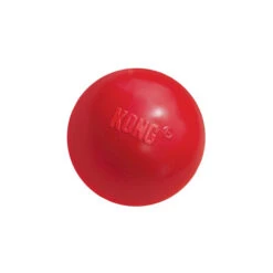KONG Ball -Heimtierbedarf Verkäufe product kong ball none 4 1466058813 69918