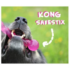 KONG Safestix -Heimtierbedarf Verkäufe product kong safestix none 4 1458633926 66969