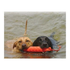 KONG Training Dummy 13 KONG Training Dummy -Heimtierbedarf Verkäufe product kong training dummy none 4 1469627104 71971