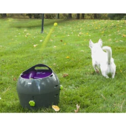 PetSafe Automatischer Ballwerfer -Heimtierbedarf Verkäufe product petsafe ball launcher none 4 1472637635 77137