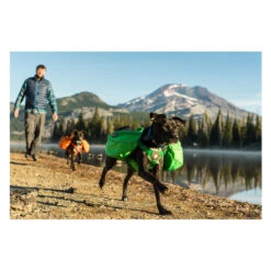 Ruffwear Approach Pack 23 Ruffwear Approach Pack -Heimtierbedarf Verkäufe product ruffwear approach pack none 4 1489677652 84736