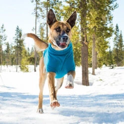 Ruffwear Climate Changer Fleece Jacket -Heimtierbedarf Verkäufe product ruffwear climate changer fleece jacket none 4 1480596074 81496