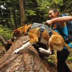 Ruffwear Webmaster Harness -Heimtierbedarf Verkäufe product ruffwear webmaster harness none 4 1471947180 76768