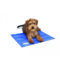 Scruffs Cooling Mat 9 Scruffs Cooling Mat -Heimtierbedarf Verkäufe product scruffs cooling mat none 4 1472200006 76957