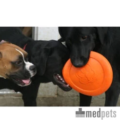 Zogoflex Zisc - Flying Disc -Heimtierbedarf Verkäufe product zogoflex zisc flying disc medpets 4 1403102255 8220