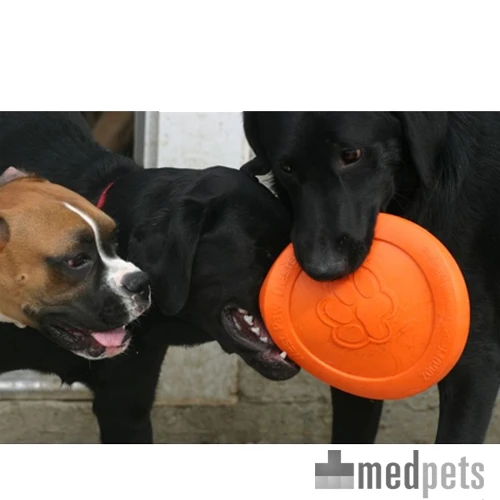 Zogoflex Zisc - Flying Disc – Bild 3