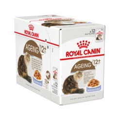 Royal Canin Ageing 12+ In Jelly - Katzenfutter -Heimtierbedarf Verkäufe royal canin ageing 12 in jelly 114191 0500 none