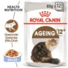 Royal Canin Ageing 12+ In Jelly - Katzenfutter -Heimtierbedarf Verkäufe royal canin ageing 12 in jelly kattenvoer 127754 0500 none