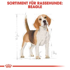 Royal Canin Beagle Adult - Hundefutter -Heimtierbedarf Verkäufe royal canin beagle adult hondenvoer 137293 0500 none