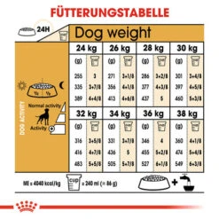 Royal Canin Boxer Adult - Hundefutter 14 Royal Canin Boxer Adult - Hundefutter -Heimtierbedarf Verkäufe royal canin boxer adult hondenvoer 137437 0500 none