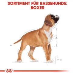Royal Canin Boxer Puppy - Hundefutter -Heimtierbedarf Verkäufe royal canin boxer puppy hondenvoer 137491 0500 none