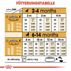 Royal Canin Boxer Puppy - Hundefutter -Heimtierbedarf Verkäufe royal canin boxer puppy hondenvoer 137500 0500 none