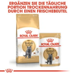 Royal Canin British Shorthair Adult - Katzenfutter -Heimtierbedarf Verkäufe royal canin british shorthair adult kattenvoer 137551 0500 none