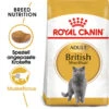 Royal Canin British Shorthair Adult - Katzenfutter -Heimtierbedarf Verkäufe royal canin british shorthair adult kattenvoer 137578 0500 none