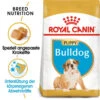 Royal Canin Bulldog Puppy - Hundefutter -Heimtierbedarf Verkäufe royal canin bulldog puppy hondenvoer 137848 0500 none