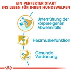 Royal Canin Cavalier King Charles Puppy - Hundefutter -Heimtierbedarf Verkäufe royal canin cavalier king charles puppy hondenvoer 137923 0500 none